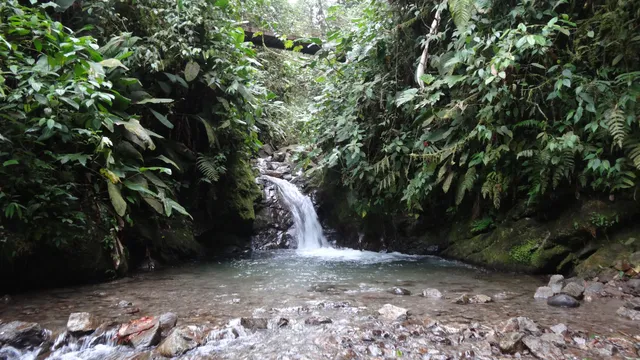 Reserva Las Tangaras