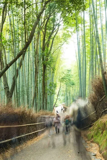 Wanderparkplatz Traumschleife "Börfinker Ochsentour"