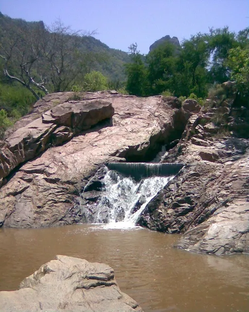 Vellore Amirthi Zoological Park