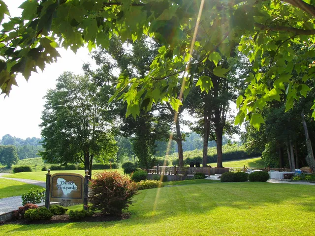 Daniel Vineyards
