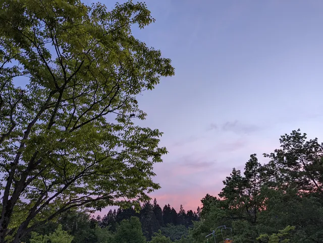 Shibatashi Hoyoshisetsutakidani Forest Park