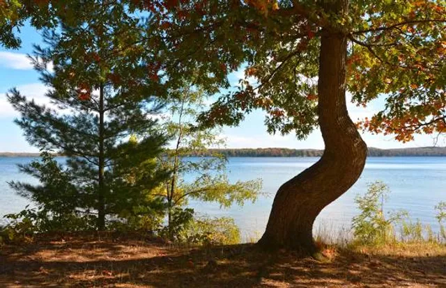 Interlochen State Park