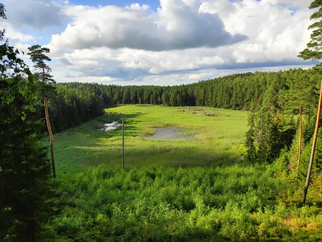 Paplatelė Educational Path