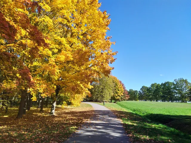 Lázeňský park Třeboň