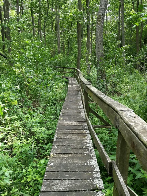 Ścieżka przyrodniczo-historyczna "Obóz Powstańczy"