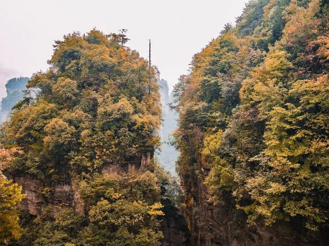 Mumyō Bridge.(Tennen Temple.)