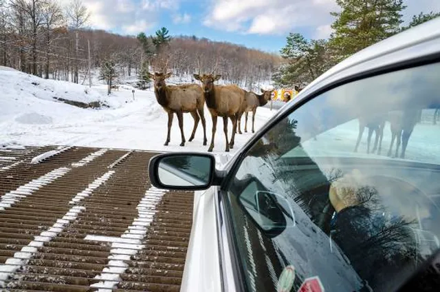 Omega Park