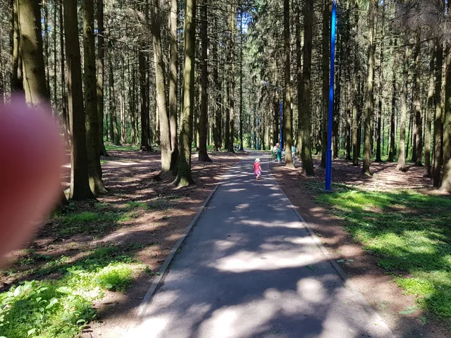 Miadzviežyna Urban Forest