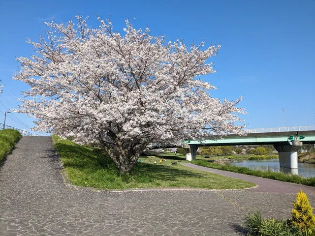 Magome River Waterside Park