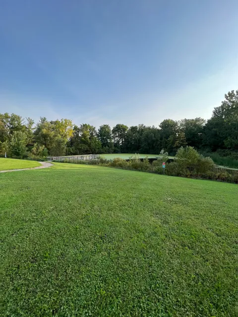 MaryFrances Bluebird Haven