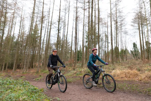 Haldon Forest Park - Forestry England