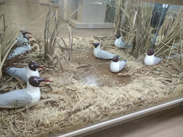 Museum of the History of the City of Lobnya