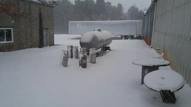 Discount Box & Pallet, Inc