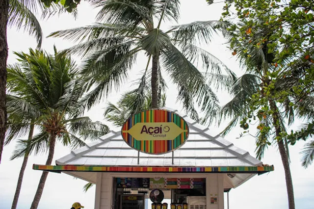 Açaí Concept