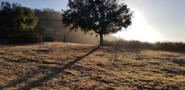 Viewridge Bobcat Trail