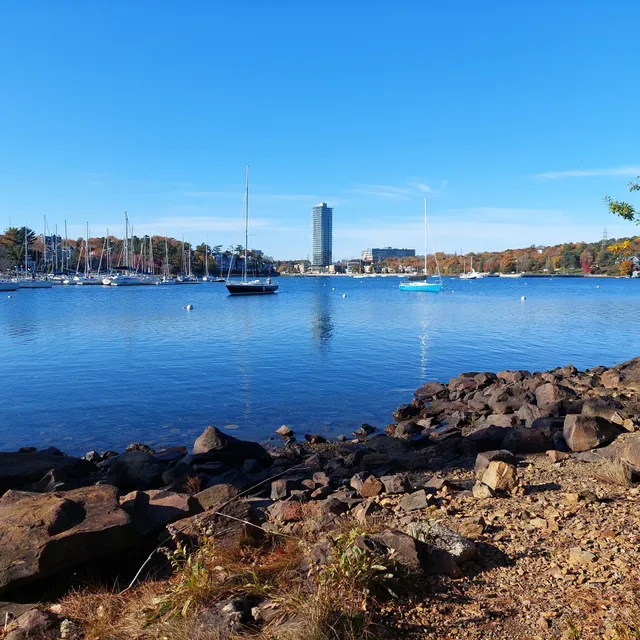 Deadman's Island Park