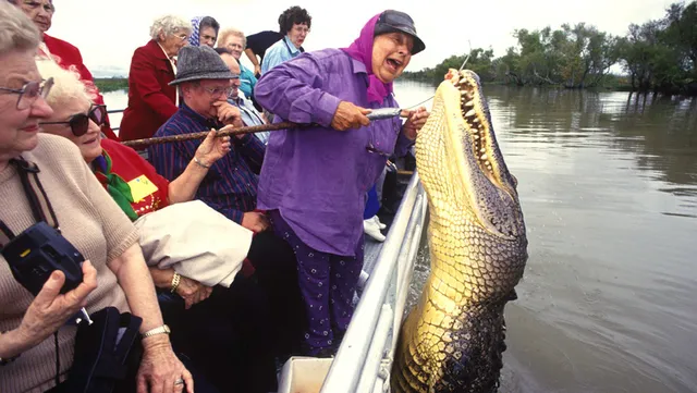 Annie Miller's Swamp Tours & Charters