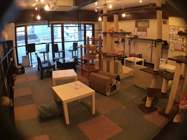 Cat Cafe Miysis