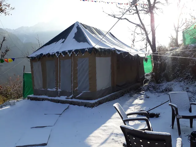 Blue Bells , Auli Joshimath