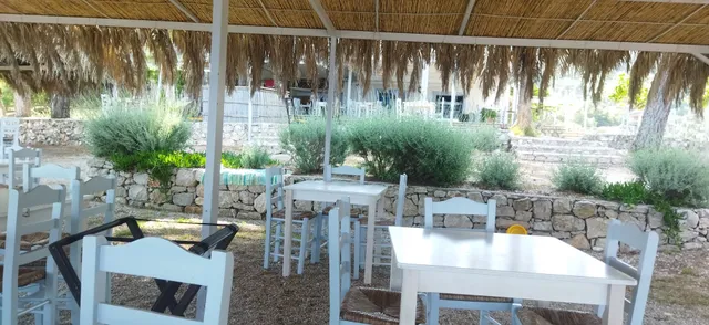 Taverna Oasis
