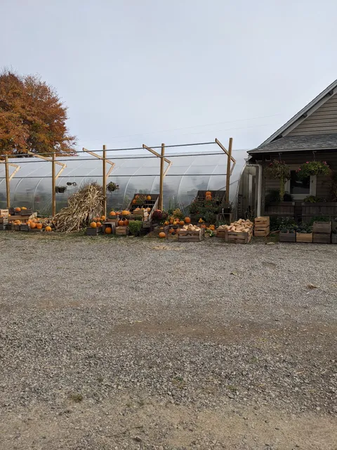 Saylor's Farm Products