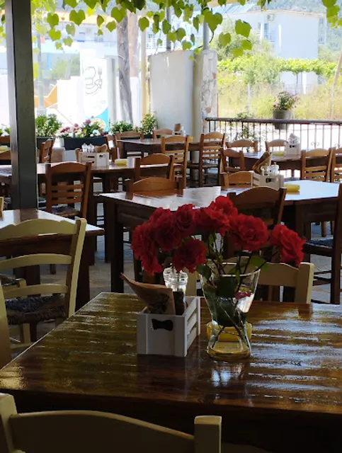 Restaurant Greek Alkyoni