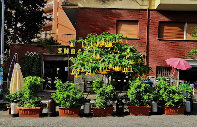 Il Baratro alla Balduina