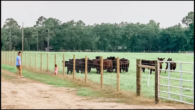 920 Cattle & Company