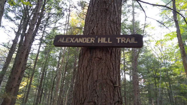 Northfield State Forest