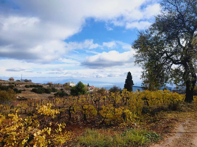 Sto Dimeiko(Στο Δημαίικο)