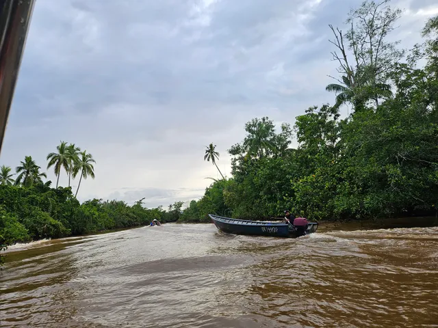 Bongawan Firefly Tour