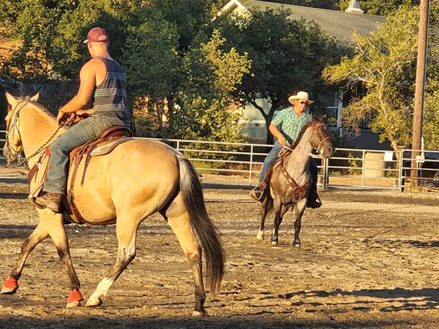 Black Point-Green Point