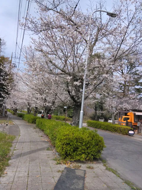Iwadatamikanko Parking Lot