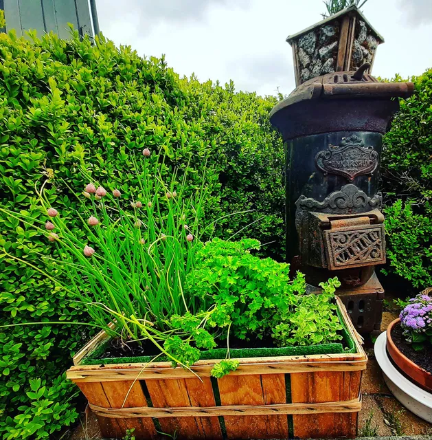 Ferienwohnung " Wohnen in der Natur"