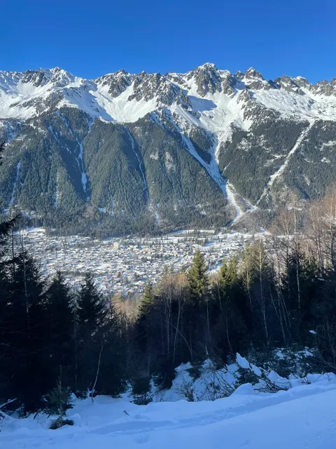 Télécabine de la Mer de Glace (Gare amont)