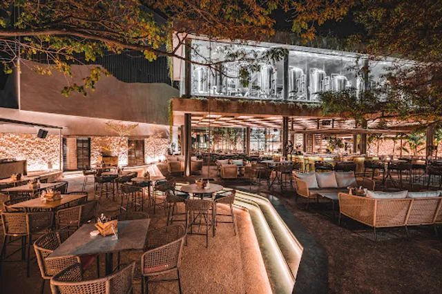 Babylon Kitchen & Bar - Hyderabad