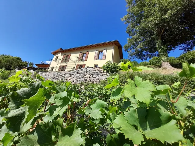 Agriturismo Cascina Teresina