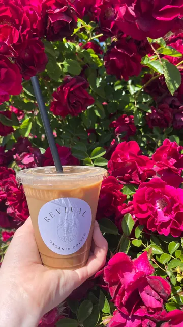 Revival Organic Coffee