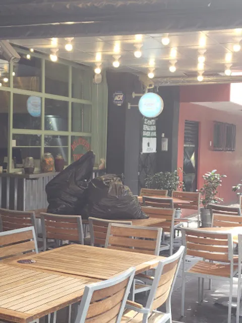 Las Tortugas de Polanco