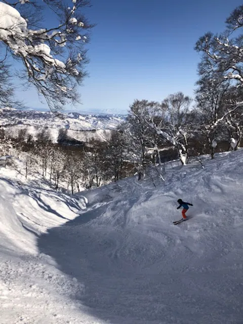 Nozawa Sessions