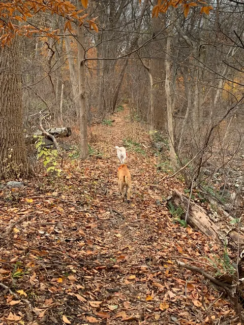 Dickerson Mine Preserve