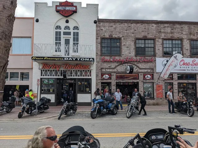 One Sexy Biker Chick