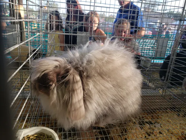 Ozaukee County Fairgrounds