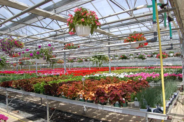 Halsey Farm & Nursery