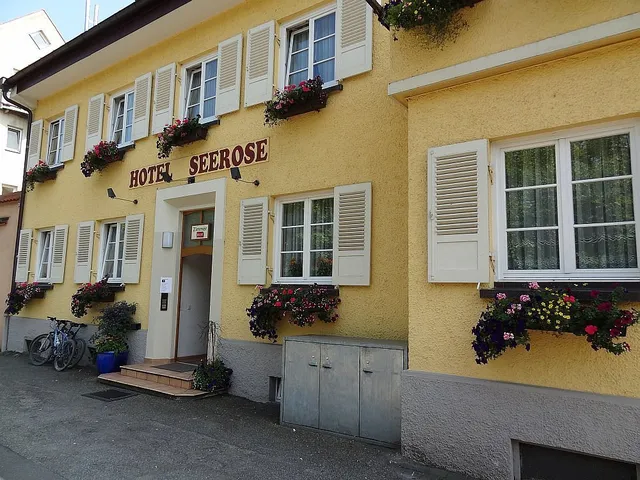 Hotel Seerose