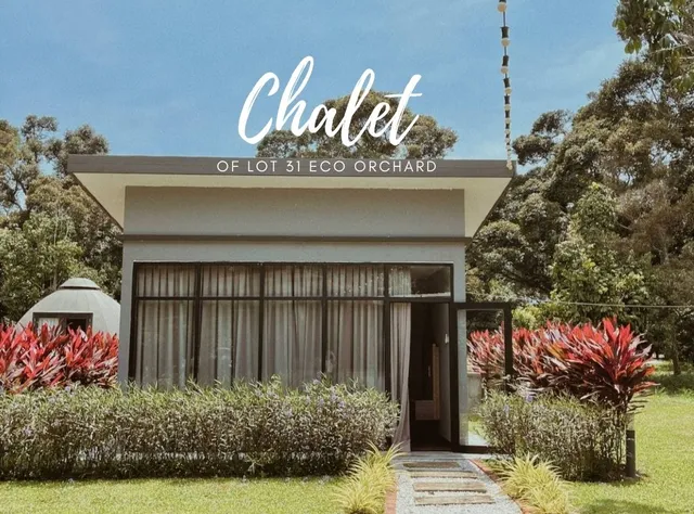 PLAY AT LOT 31 ECO ORCHARD