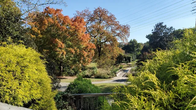 Greensboro Arboretum