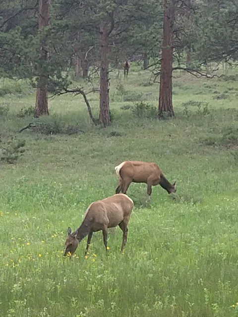 Rocky Mountain Conservancy - Headquarters