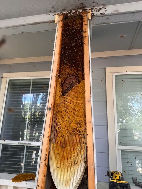 Lockhart Honey Company