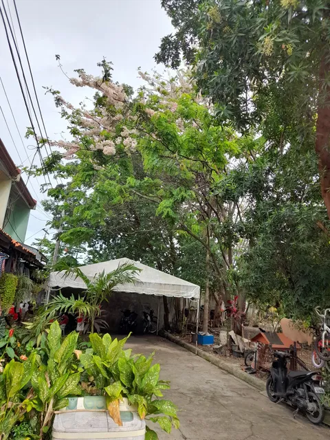 BF Townhomes Phase II Park